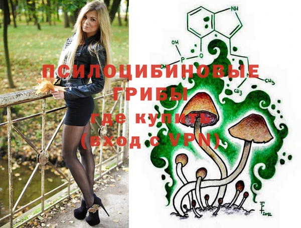 шишки Абдулино