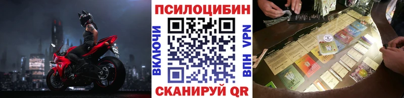 хочу наркоту  Воронеж  Галлюциногенные грибы мухоморы 