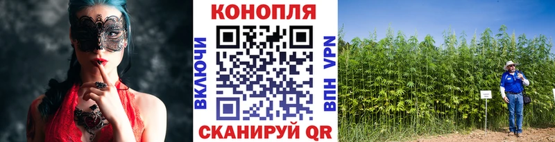 МЕГА ссылки  Воронеж  Шишки марихуана конопля 
